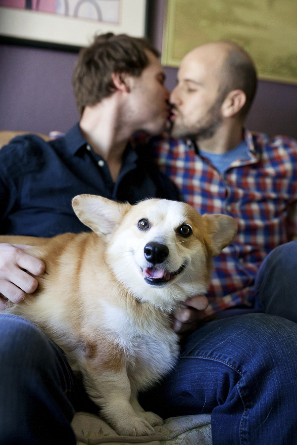 Corgi, engagement session, men kissing with dog on lap, same sex engagement photo session
