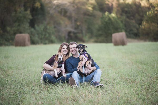 engagement portraits with dogs, beagle, mixed breed and couple with baled hay