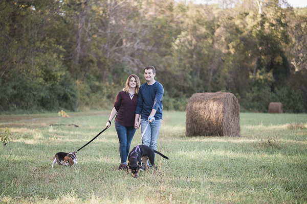 country engagement pictures with dogs, couple walking dogs through hayfield