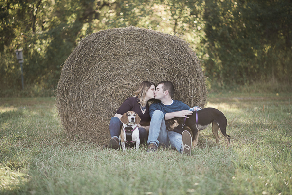 couple kissing in front of baled hay, dog in engagement photos