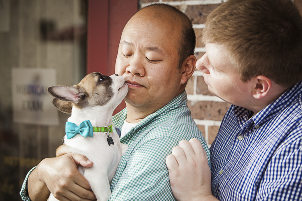 French Bulldog puppy, engagement session with dog