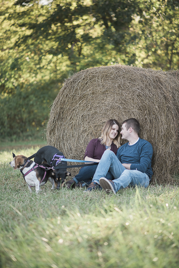 couple leaning against round hay bale with dogs, 