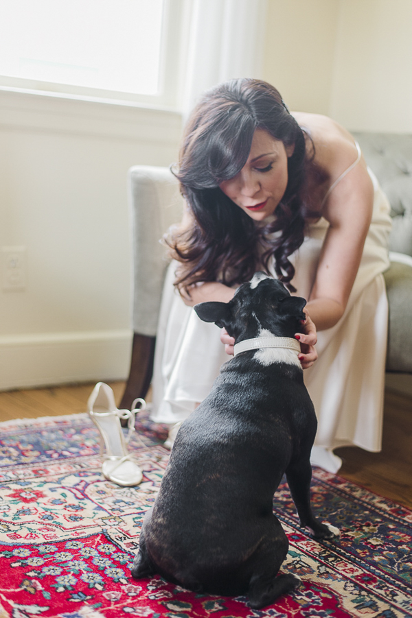 bride holding dog's face, Boston Terrier, wedding photos with dog