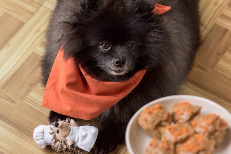 homemade pupcake recipe, peanut butter, carrot cupcakes for dogs