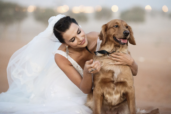 wedding dog, bride in white wedding dress, Golden Retriever