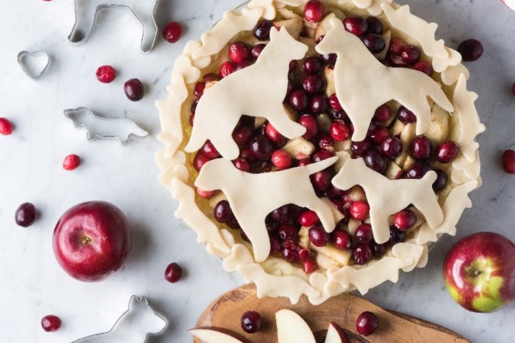 decorative crust for dog lovers