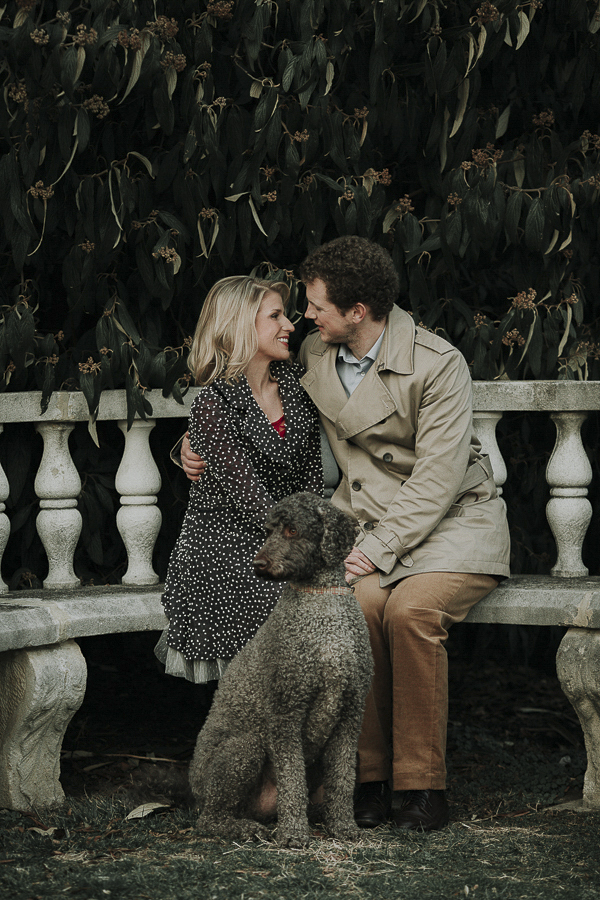 evening engagement pictures with Labradoodle