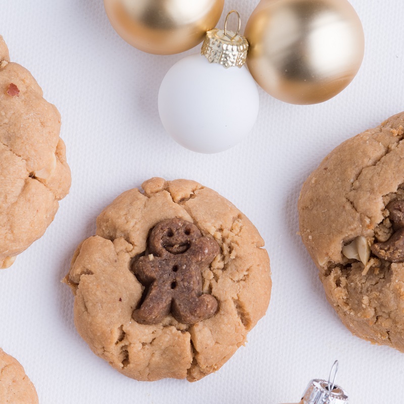 vegan peanut butter dog treats