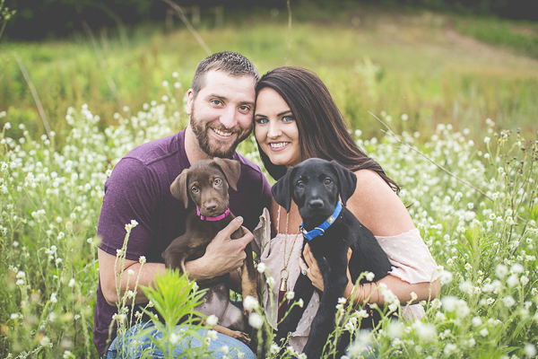 couple holding Labrador Retriever puppies in field, on location dog photography