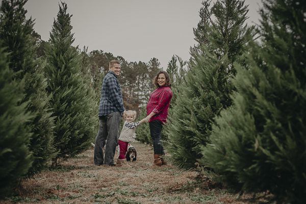 Holiday photos, Mom, dad, little girl, dog , Christmas tree farm