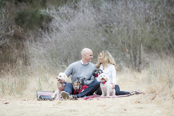 late fall maternity photos with dogs