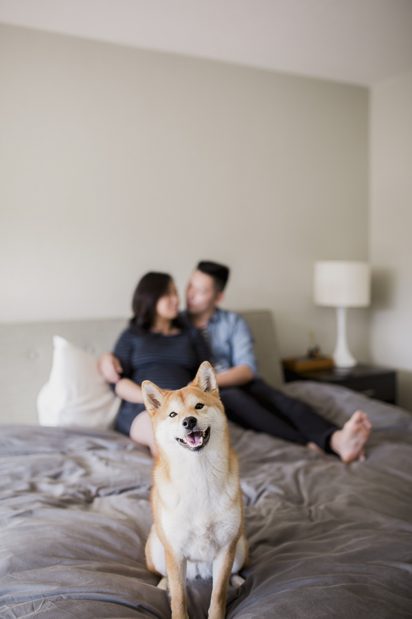 happy dog sitting on bed, humans in background, lifestyle dog portraits