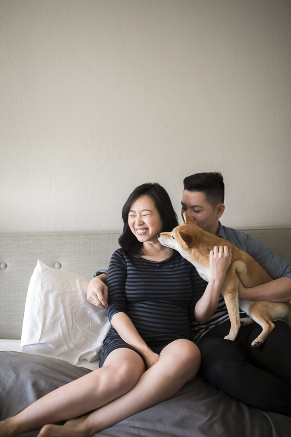 Shiba Inu licking pregnant woman's face, maternity session with couple and their dog