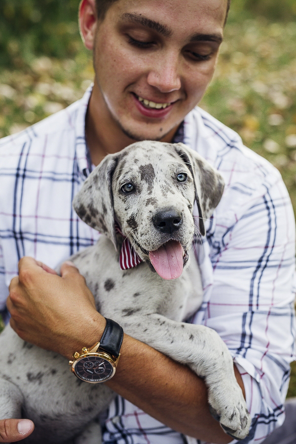 man holding Great Dane puppy