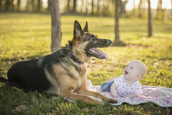 baby smiling up at dog, family, dog portraits in the park