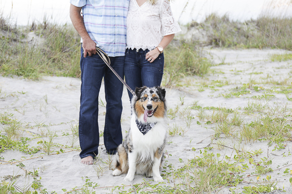 Blue Merle Australian Shepherd, Charleston beach engagement photography