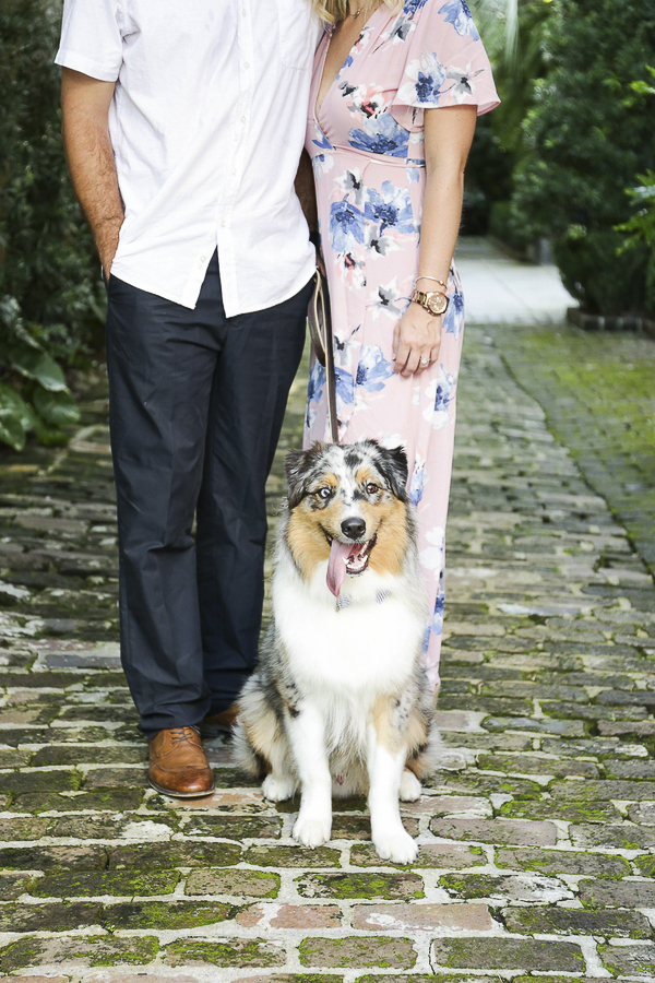 engagement photos with dog, brick sidewalk, blue merle Australian Shepherd
