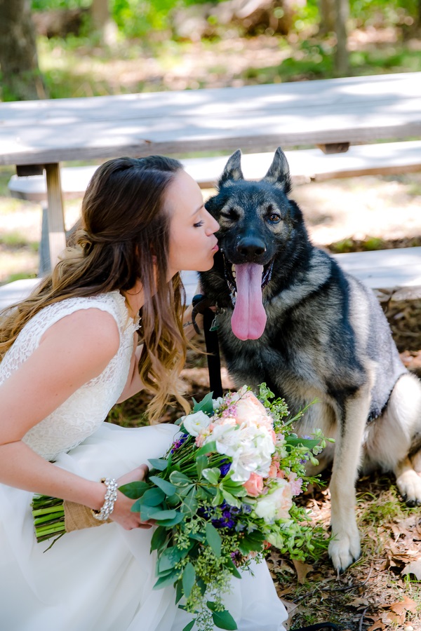 bride kissing her dog, German Shepherd, including pets in weddings