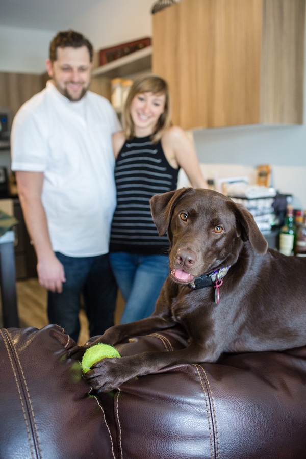Chocolate Lab, lifestyle engagement portraits in couples' loft with their dog, ©Clicking Through Life 