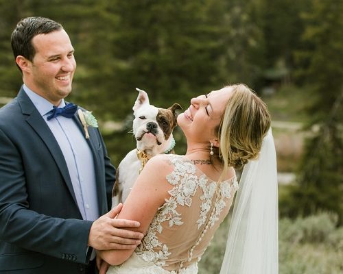 Best (Wedding) Dog: Penny the French Bulldog Mix