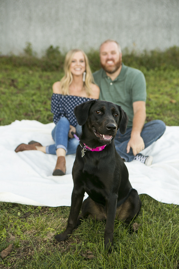 Lab mix and her family, Nashville Lifestyle pet photographer, Mandy Whitley Photography