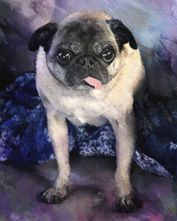 Pug photo turned into digital painting ©Steffi Smith | For The Love Of Art
