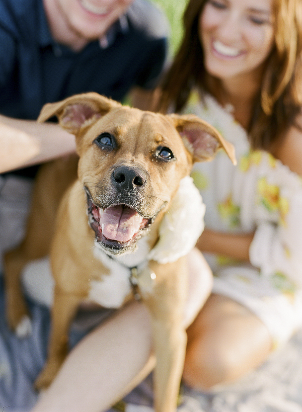 cute Boxer-Lab mix and her humans, ©Rachel Craig Photography | Lifestyle dog photography, Charleston, SC