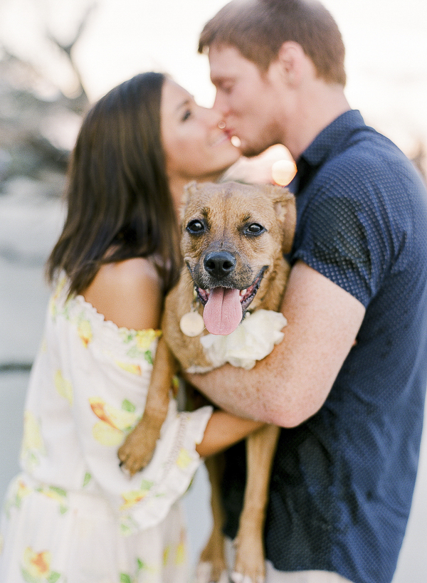 couple holding wet mixed breed and kissing each other, beach dog