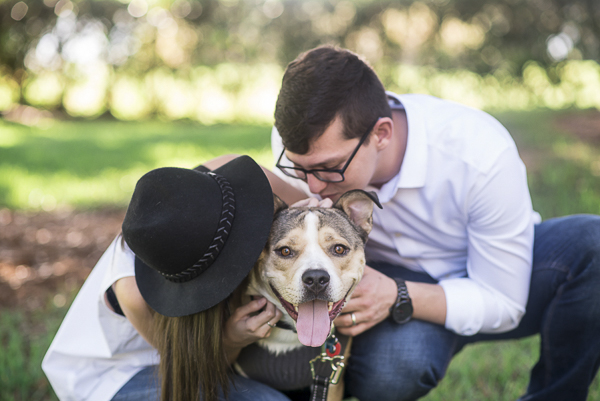 couple kissing mixed breed, first anniversary photos with dog, lovable mixed breed