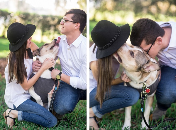 affectionate dog, first anniversary photos with dog