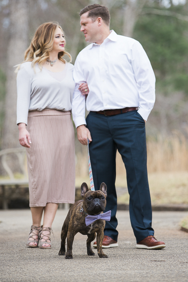 dog wearing bow tie, how to include pets in engagement pictures, ©Meghan Rolfe Photography | Asheville Engagement photos with French Bulldog