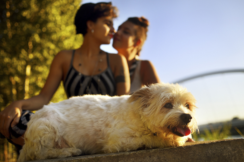 Maltese Mix in Alessandria, Italy, engagement photos with dog ©Martina Campola Photography
