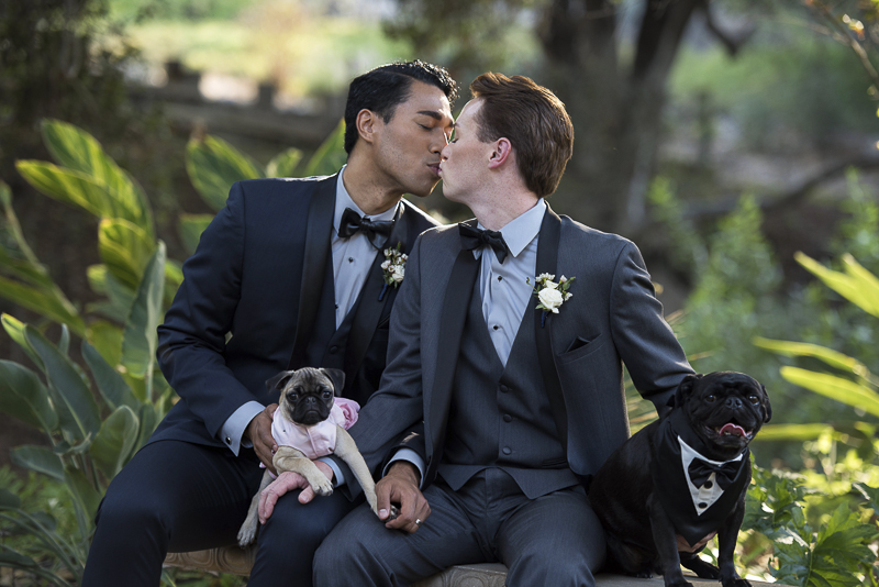 equally wed couple kissing, dogs in anniversary photos