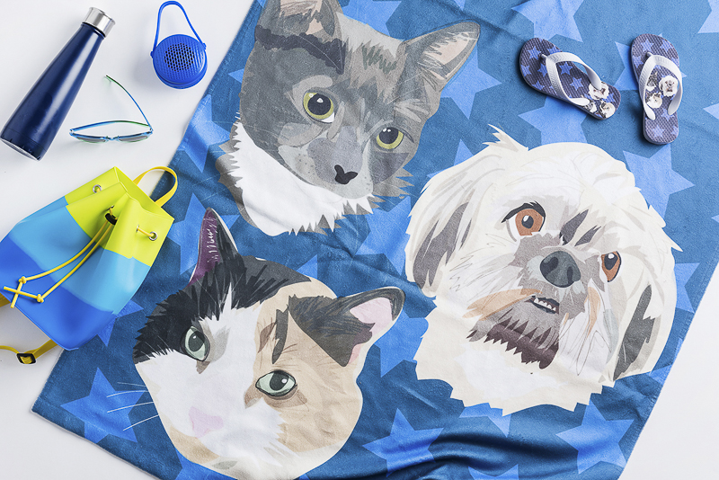 blue beach towel with cats and dog, matching flip flops, flat lay, © Alice G Patterson Photography