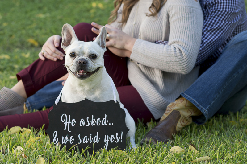 Save the Date Sign with a French Bulldog | ©Ata-Girl Photography | dog friendly engagement session