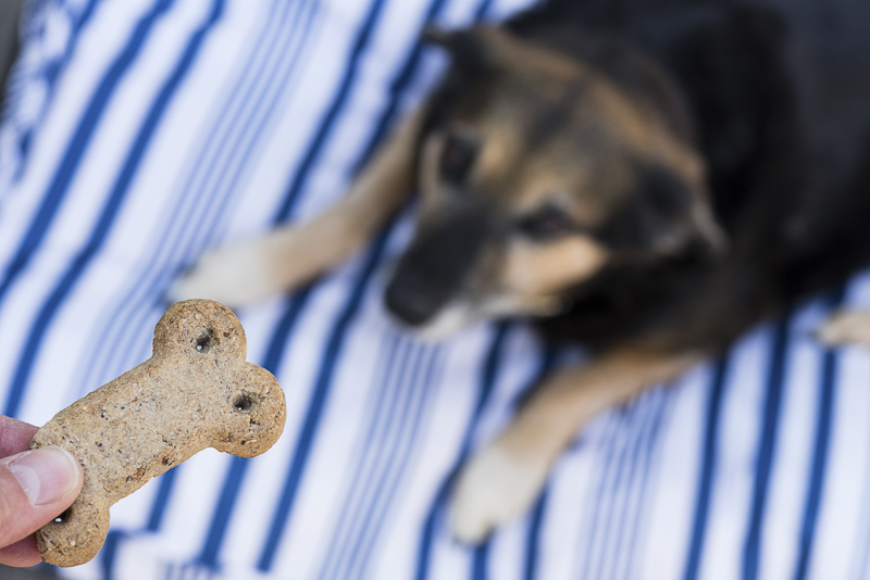 #VitaBoneGoodSmells, detail of Vita Bone Artisan Inspired Dog Biscuits