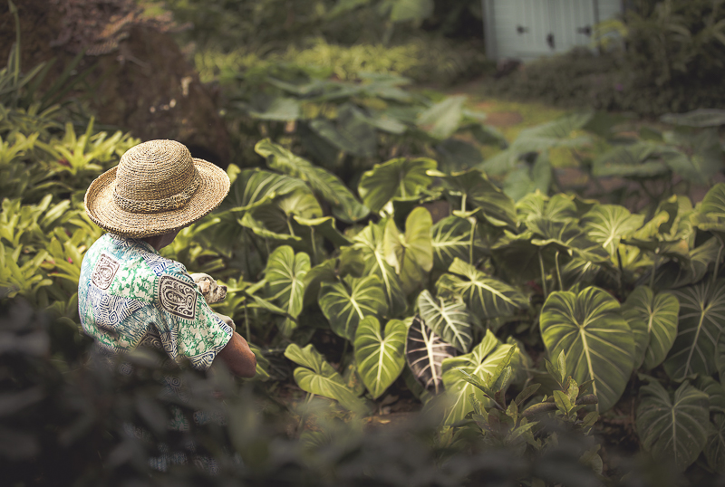woman holding senior dog in the lush back yard, ©Amanda Emmes Photography | Oahu environmental dog portraits