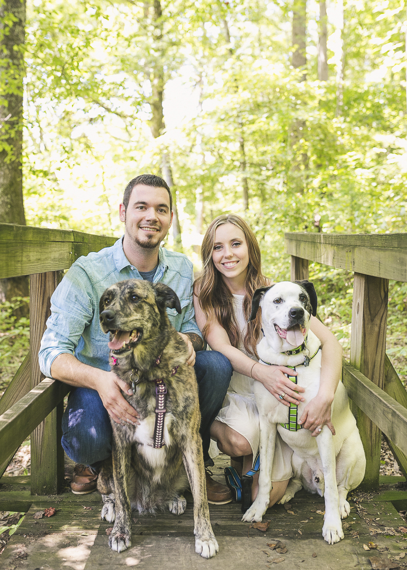 mixed breeds and their humans, ©Brandy Angel Photography | engagement photos with dogs
