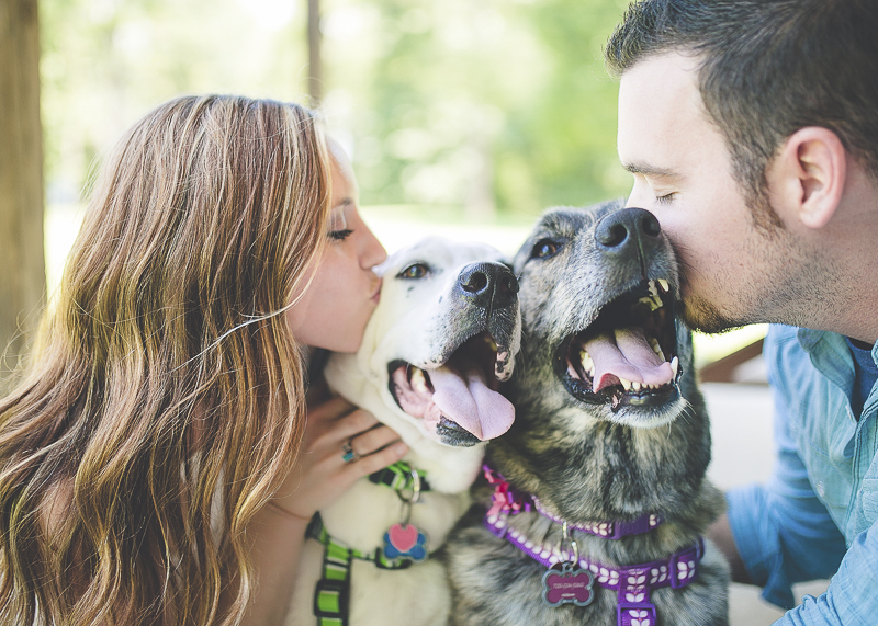 couple kissing their dogs' heads, ©Brandy Angel Photography | engagement photos with dogs