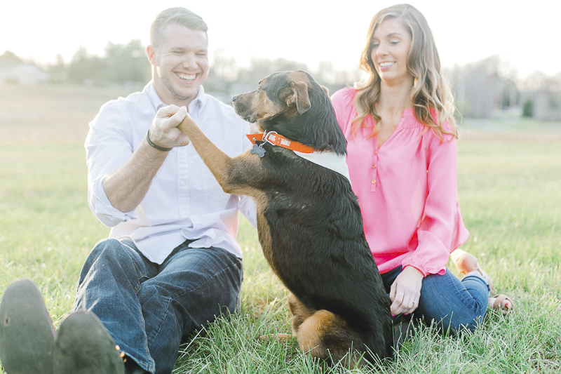 dog shaking man's hand | ©Casey Hendrickson Photography | Charlotte, NC Engagement photos with a dog