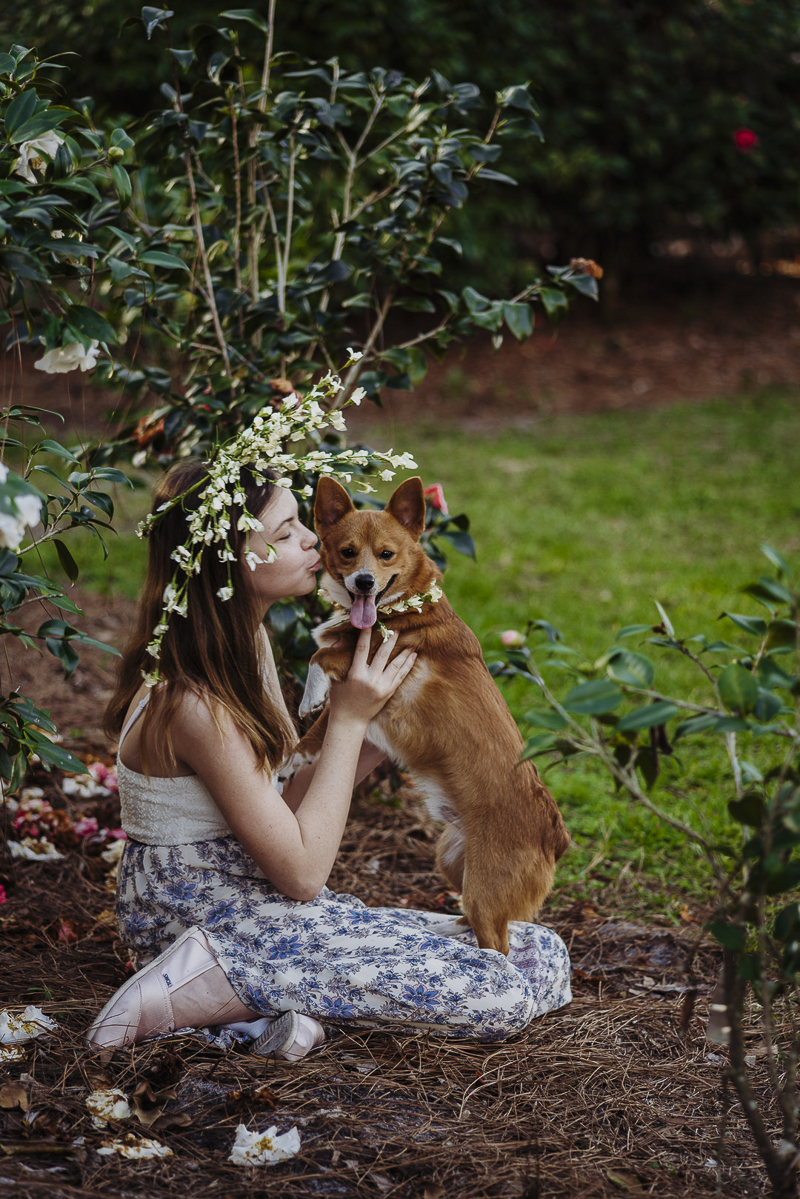girl wearing white flower crown holding Corgi in floral collar, love between dogs and people | ©DR Photography | lifestyle family photography