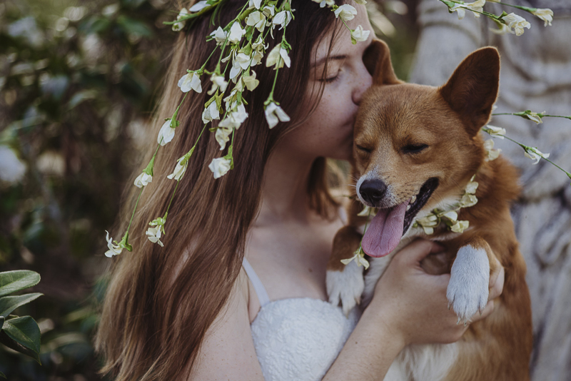 girl and dog wearing flower crowns, | ©DR Photography | lifestyle family photography