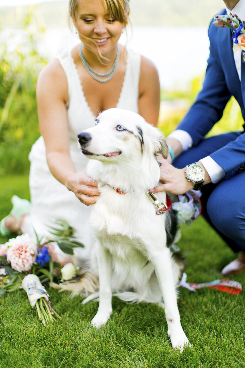 newlywed couple petting their dog, dog as flower girl ©Emma Lee Photography | Dogs in weddings
