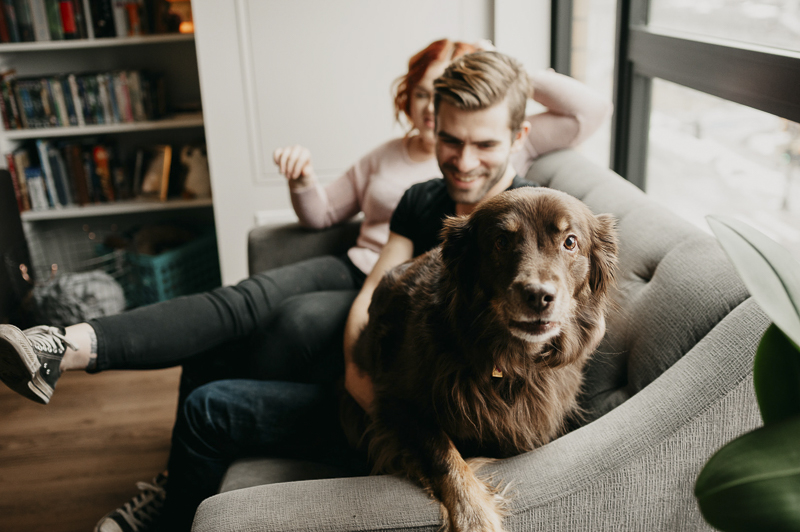 Family photos with dog, Aussie mix on sofa with people ©Empiria Studios | lifestyle dog photography