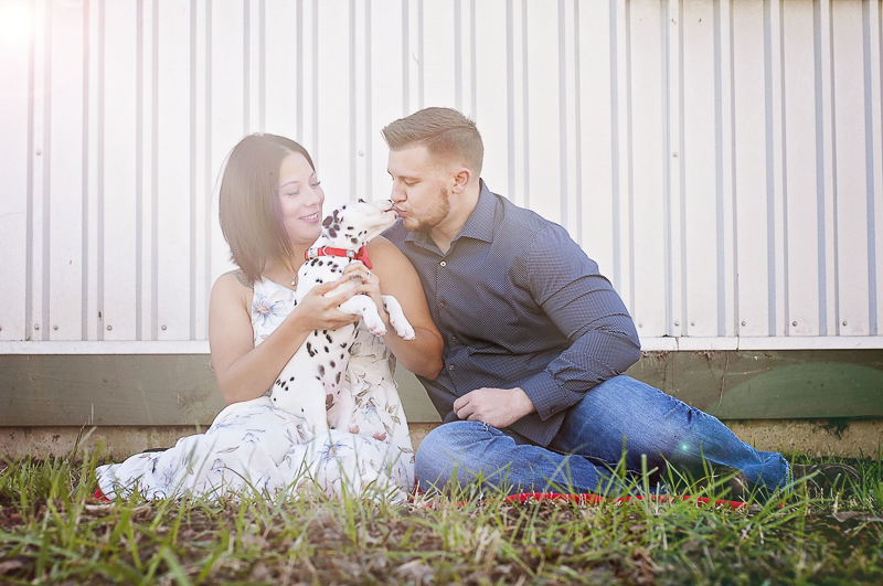 Dalmatian puppy licking man, pet friendly engagement photos | ©Kelly Urban Photography