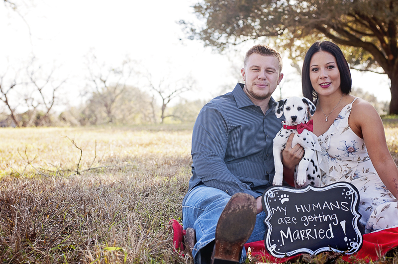 Rustic engagement photos with Dalmatian puppy, ©Kelly Urban Photography | Richmond, Texas