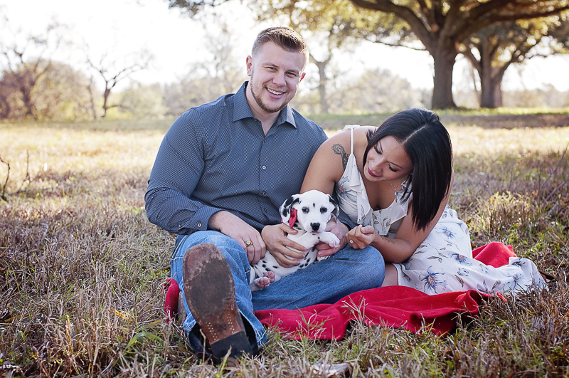 Dalmatian puppy wearing red bow tie sitting in laps of his family, ©Kelly Urban Photography | dog friendly engagement photos, 