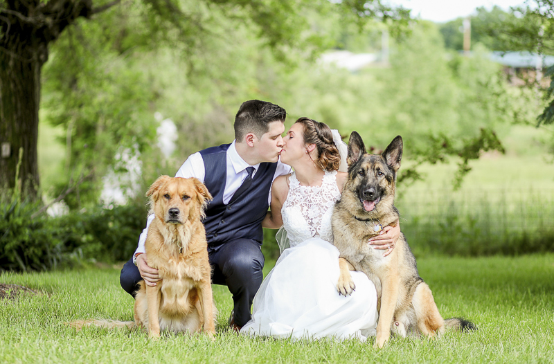bride and groom kissing, German Shepherd leaning into bride's lap, dog friendly wedding | ©Shelby Chante' Photography