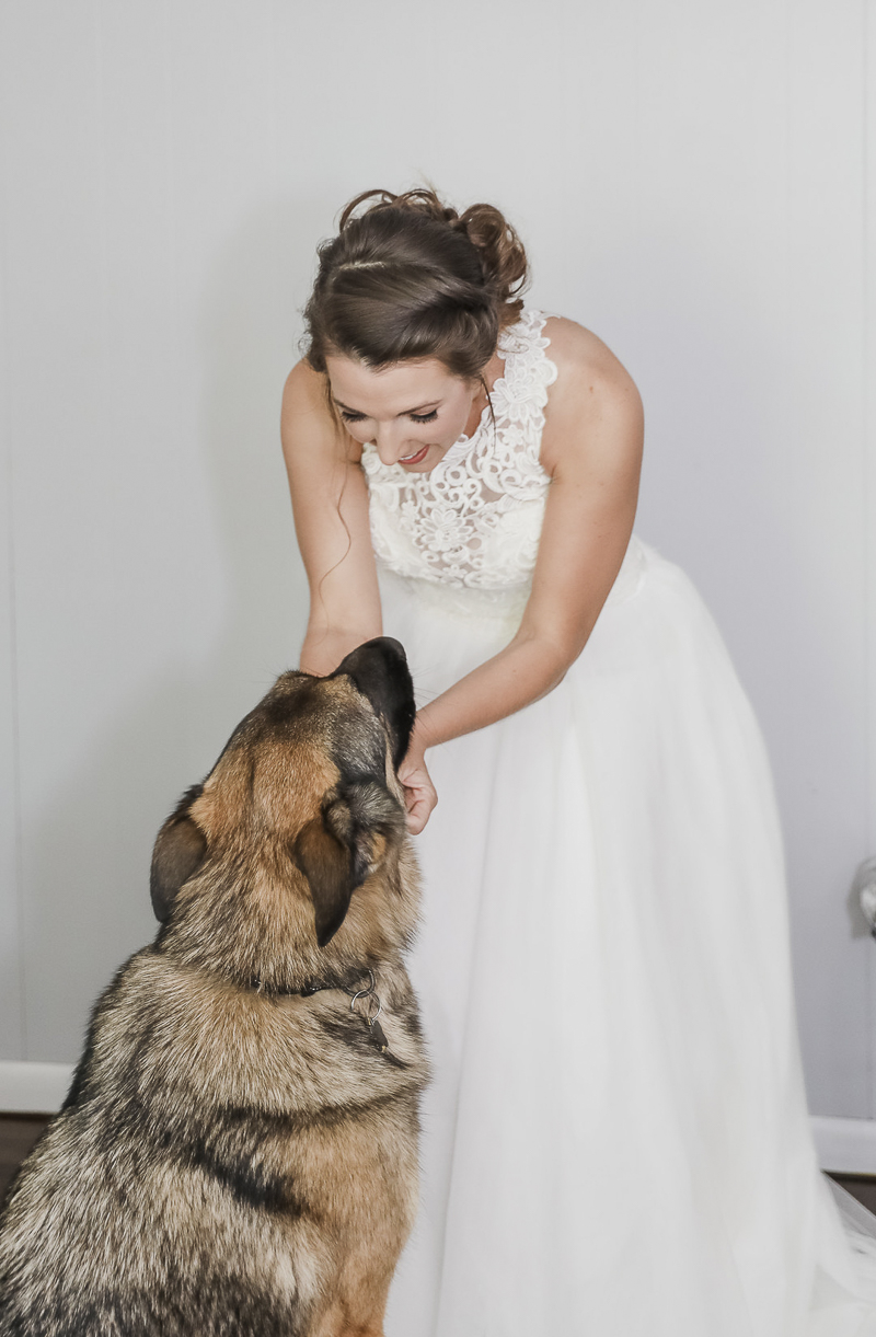 bride scratching dog's chin, ©Shelby Chante' Photography