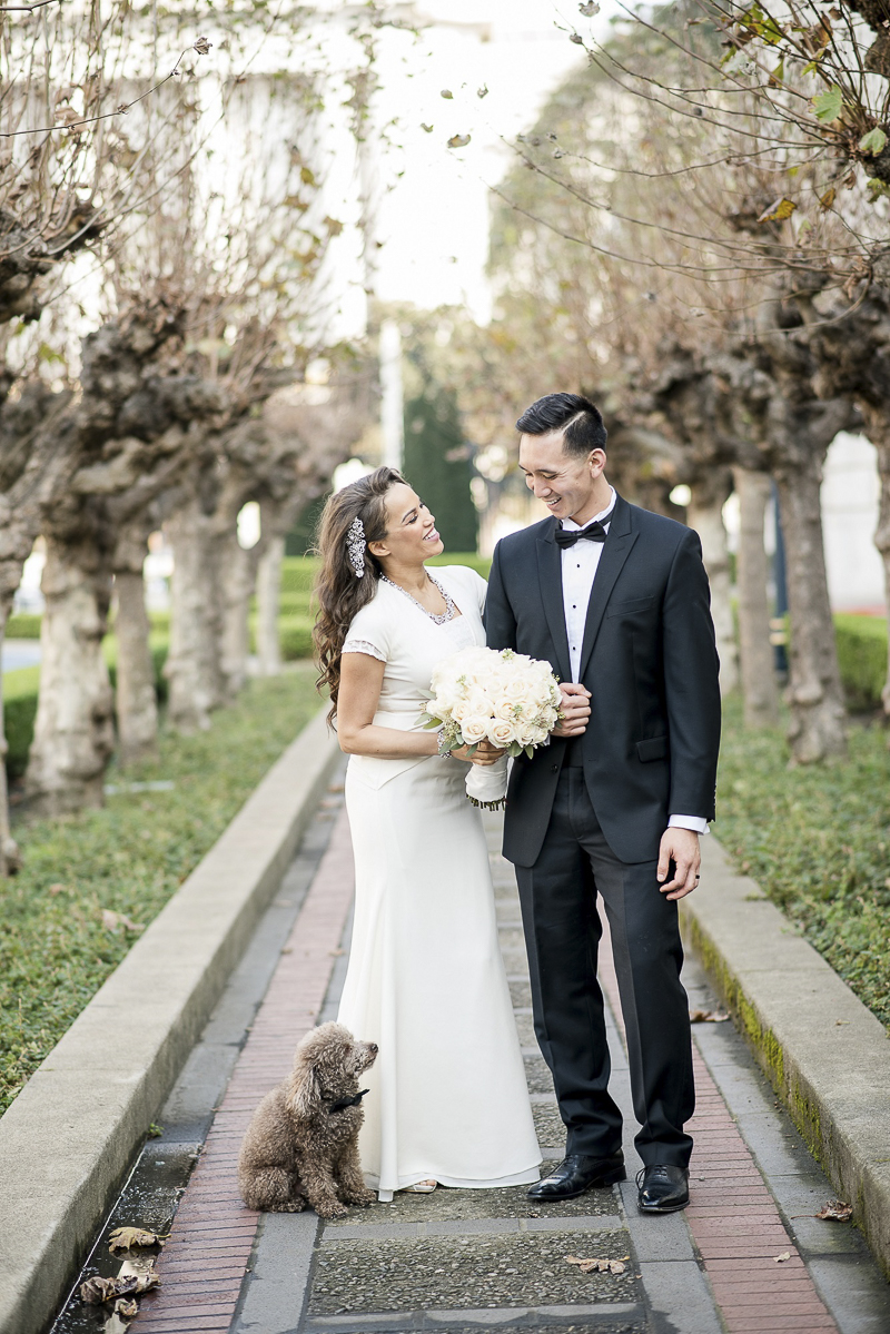 including dogs in wedding | ©Holly D Photography | San Francisco dog friendly wedding photography